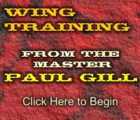 Wing Training From Paul Gill